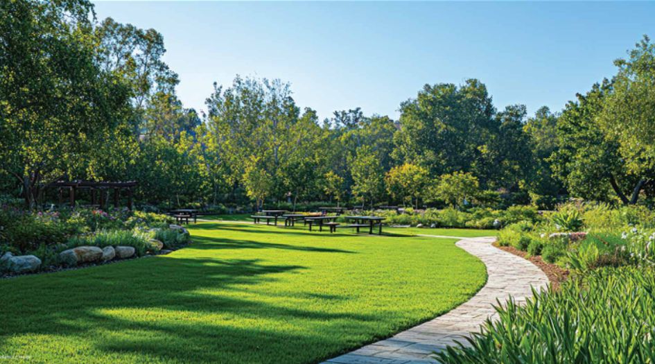 Dream-Sky-View-Lush-Green-view