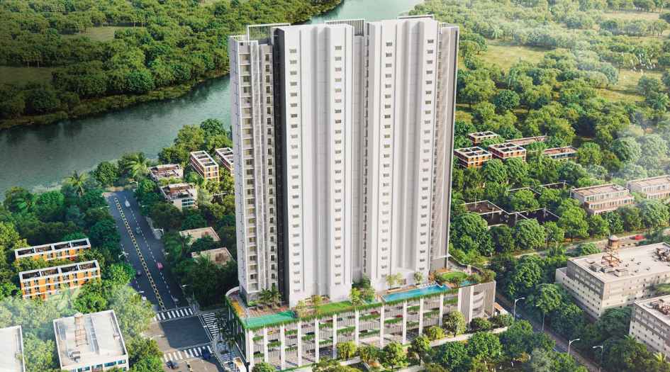 Mangroves-Elevation-Image-front-view