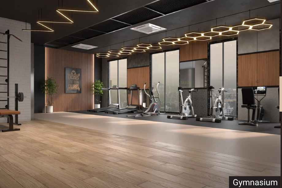 Alpine-Vistara-Amenities-Gym