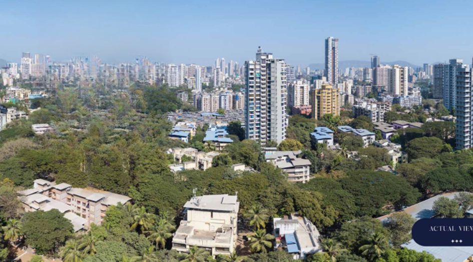 Dream-Sky-View-Actual-view