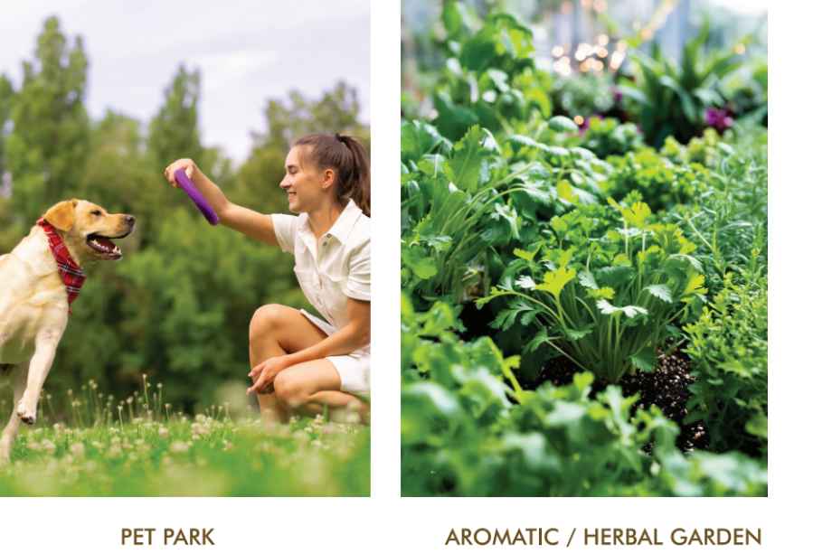 Esbee-Mizura-Residences-Amenities-Pet-Park-&-Garden